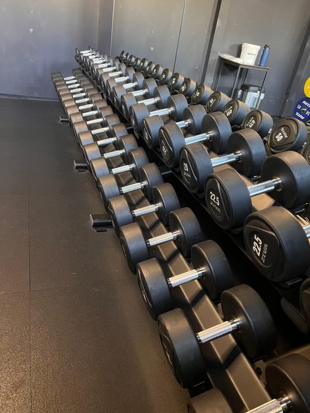 Kurzhantelregal bis 30 kg